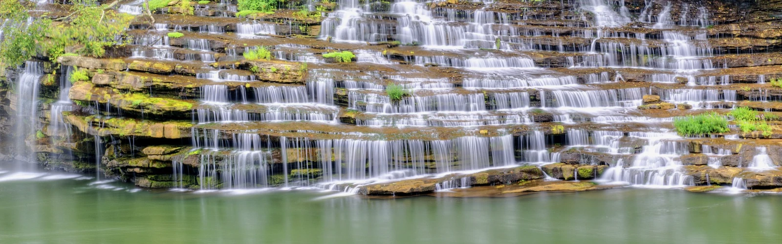 Hidden Gems: Discovering Nature in Jackson, TN