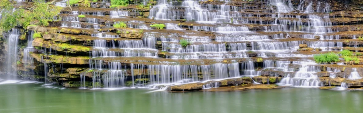 Hidden Gems: Discovering Nature in Jackson, TN